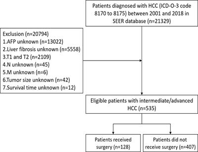 Local tumor destruction and liver resection increase overall survival in intermediate/advanced hepatocellular carcinoma patients: evidence from a population-based study